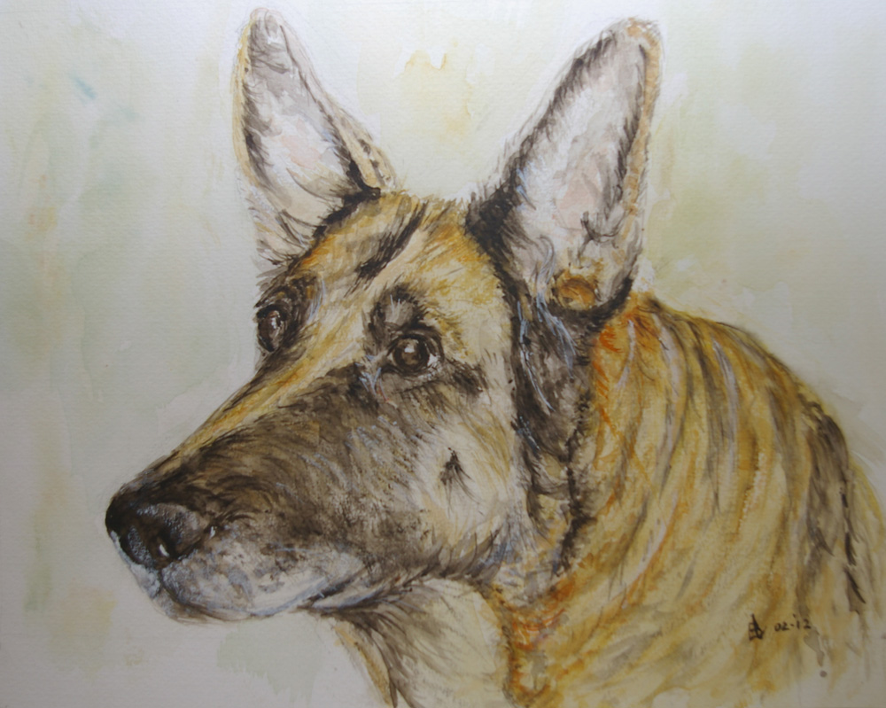 Chrissy, our sons dog